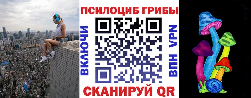 Галлюциногенные грибы мухоморы omg вход Белая Холуница